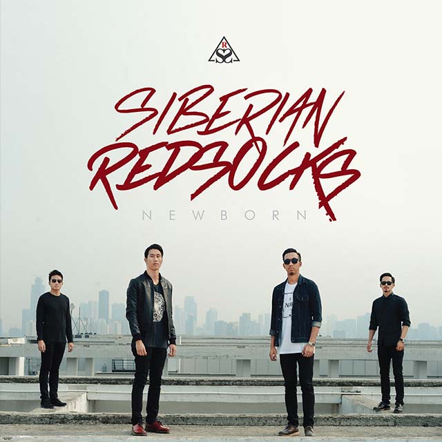 Syberian redsocks - newborn